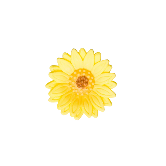 1.5" Shasta Daisy - Yellow