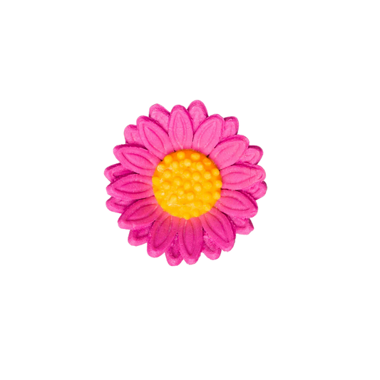 1.5" Shasta Daisy - Hot Pink