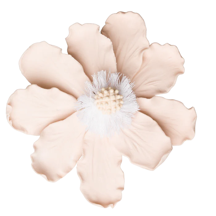 4" Elegant Anemone - Pale Pink