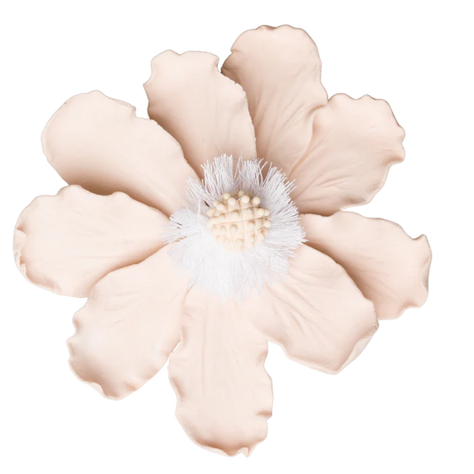 4" Elegant Anemone - Pale Pink