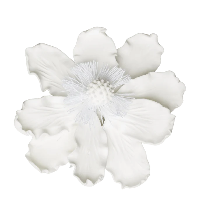 4" Elegant Anemone - White