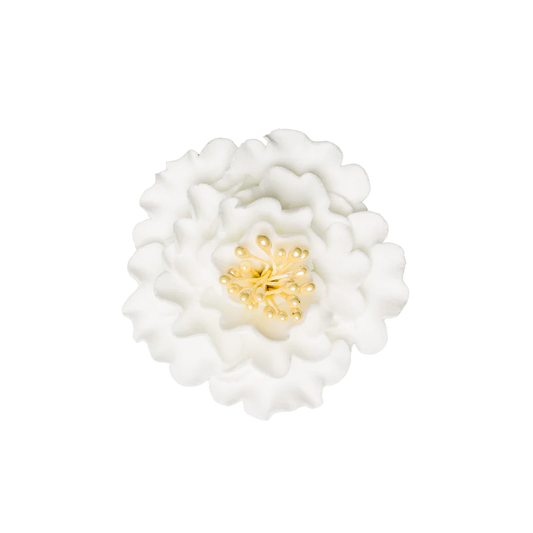 2.5" Peony - Medium - White