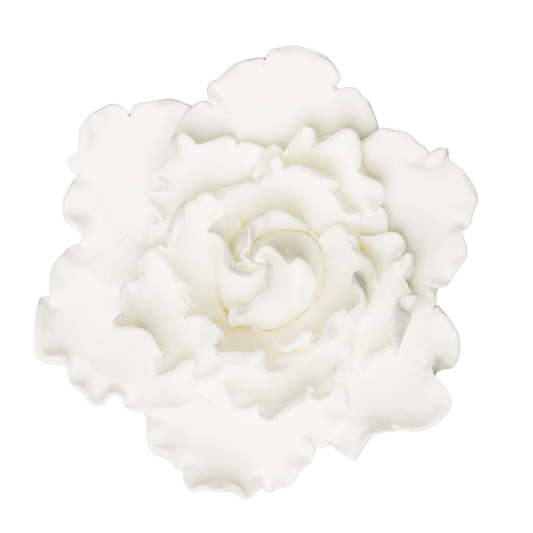 4.5" Closed Peony - Large - White
