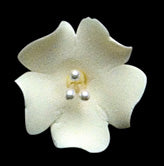 Fruit Blossom Yellow