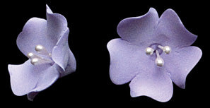 Fruit Blossom  Lavender