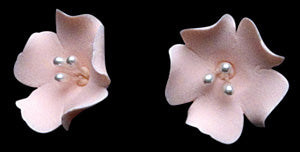 Fruit Blossom Peach