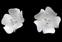 Fruit Blossom White
