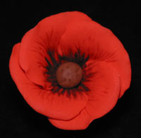Poppy Flowers on Wire