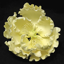 Peony Jumbo Flower - Yellow