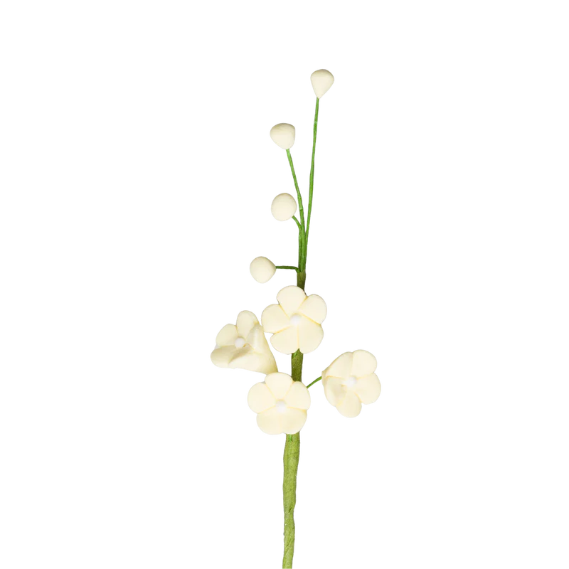 Forget-Me-Not Filler - Yellow
