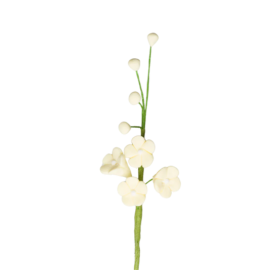 Forget-Me-Not Filler - Yellow