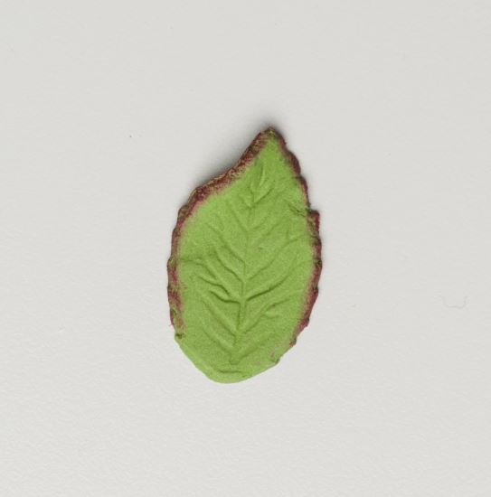 1.25" Rose Leaves - Small - Green