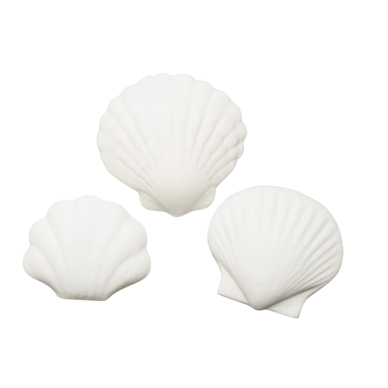 Seashell Assortment 1