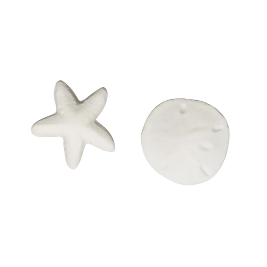 Seashell Assortment