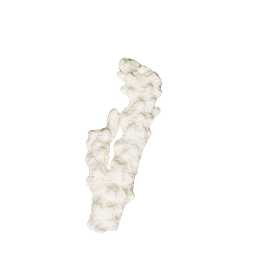 Large Coral 4"