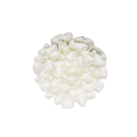 1.5" Royal Icing Carnation - Medium - White