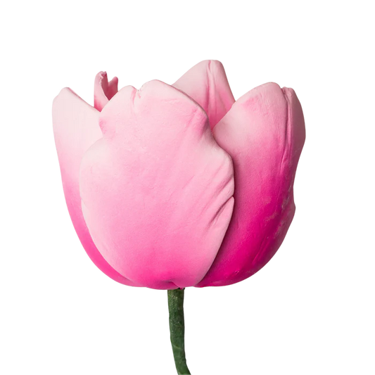 2" French Tulip - Pink