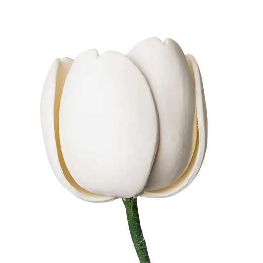 3" French Tulip - White