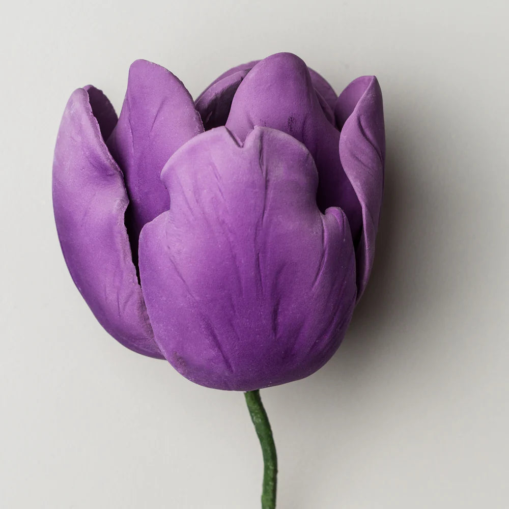 3" French Tulip - Purple
