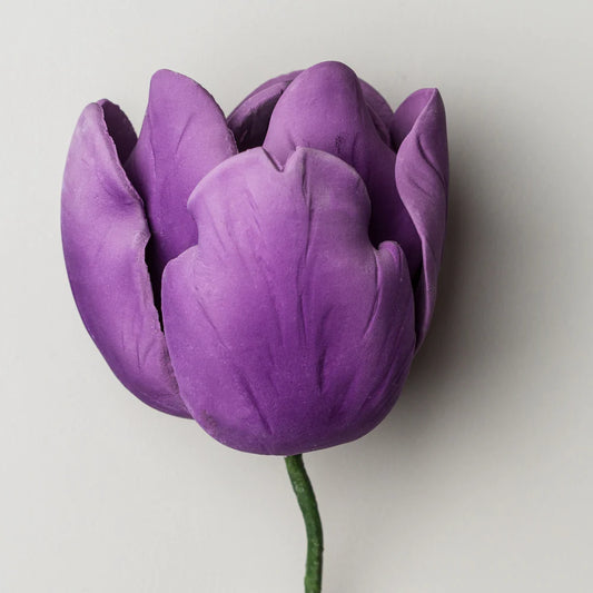 3" French Tulip - Purple