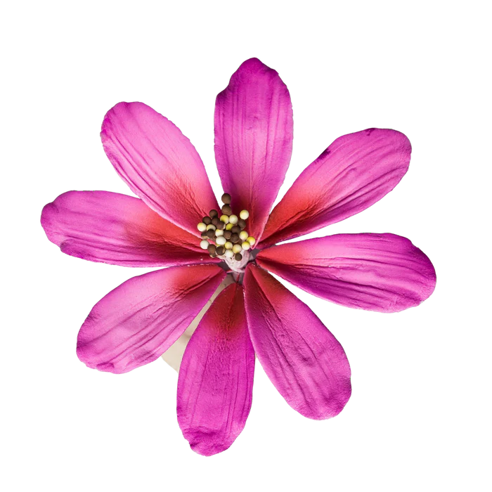4" Cosmos - Purple