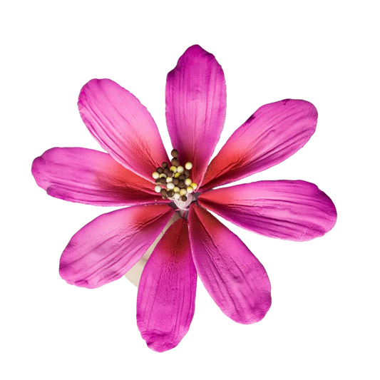 4" Cosmos - Purple