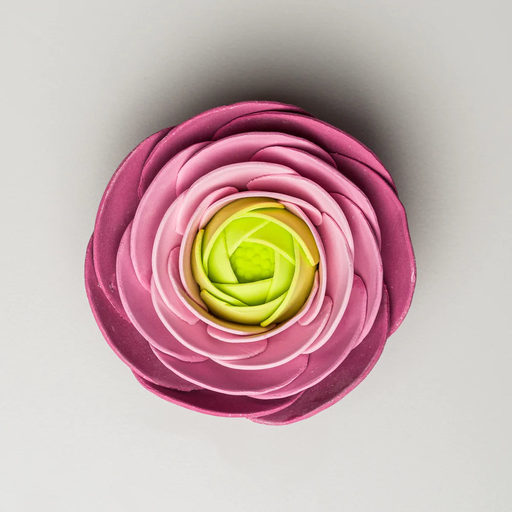 3" Ranunculus - Purple