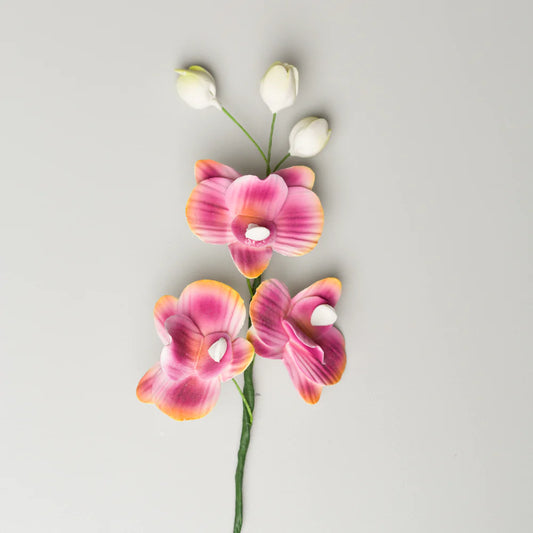 7.25" Moth Orchid Spray - Burgundy
