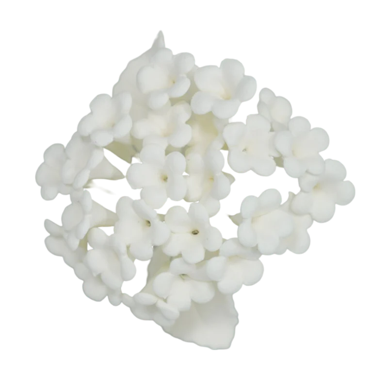 4" Snowy White Blossoms