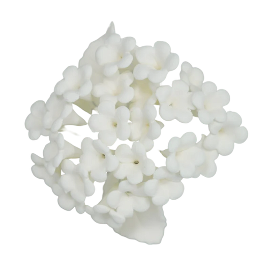 4" Snowy White Blossoms