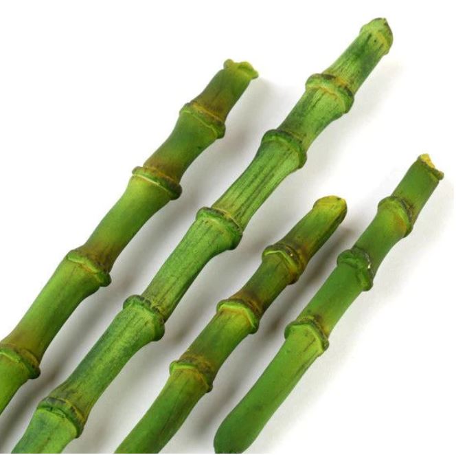 Bamboo Stalk Gumpaste