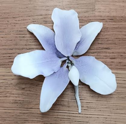 Purple Casablanca Flower