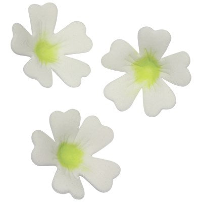 Primrose Flower Petal Set of 3