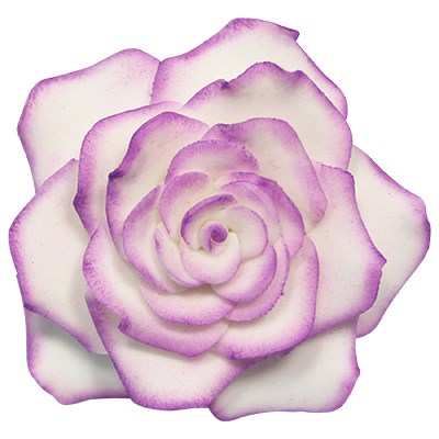 Rose Petal Set of 4