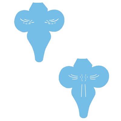 Orchid Labellum Set of 2