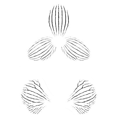 Orchid Stripes Set of 3