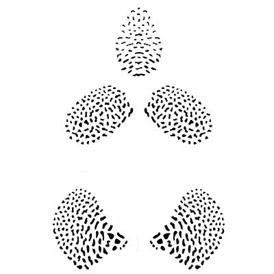 Orchid Dots Set of 3