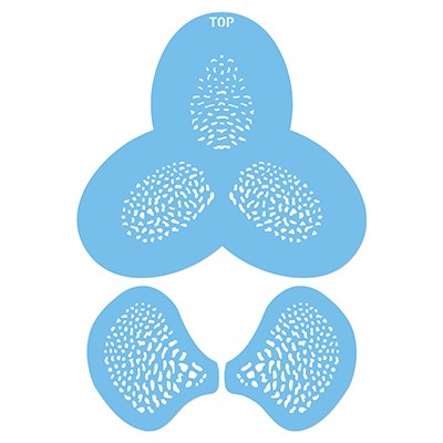 Orchid Dots Set of 3