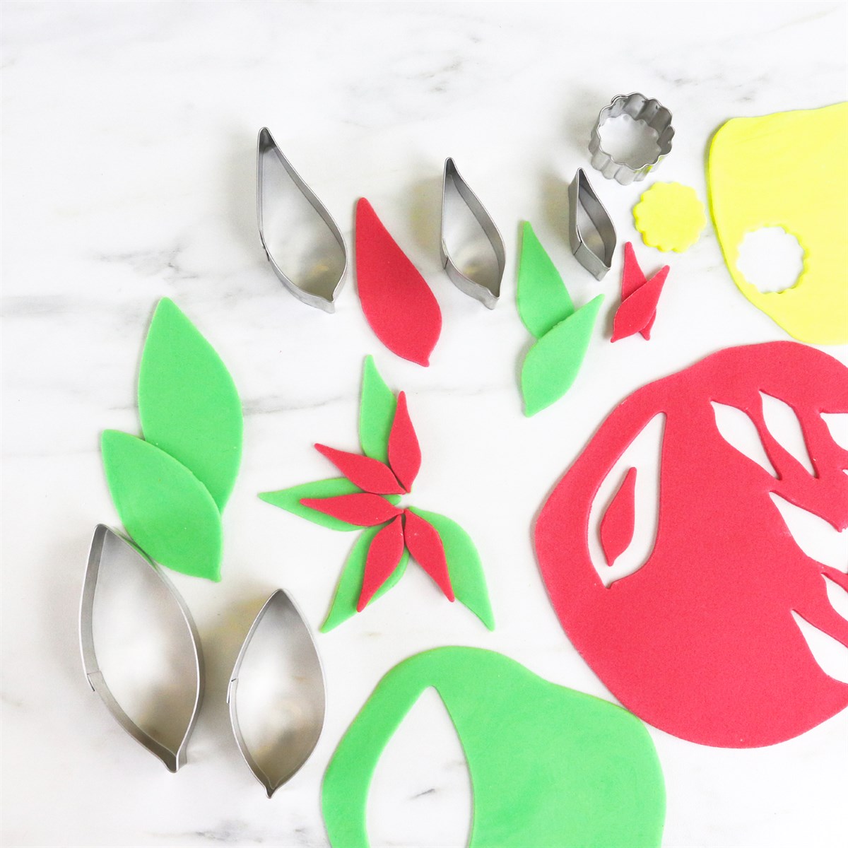 Stainless Steel Poinsettia Cutters, Christmas, Set of 6