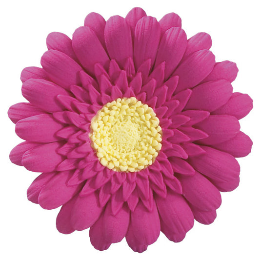 Hot Pink Gerbera Daisy