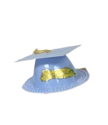 Graduation Hat - Light Blue