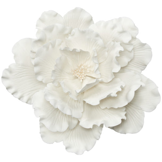 Gum Paste Peony White Large 4.5"