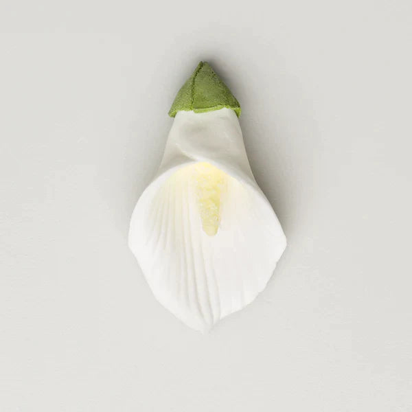 Calla Lily - Medium - Yellow/Green