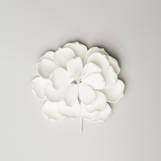 3.5" DAHLIA ORCHID - WHITE
