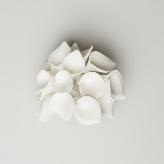3.5" DAHLIA ORCHID - WHITE