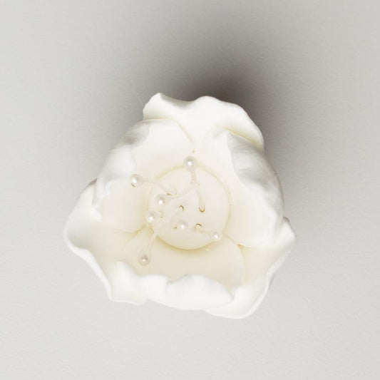 1.5" TULIP - WHITE