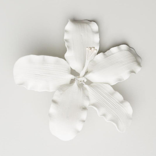 3.5" GLADIOLA - LARGE - WHITE