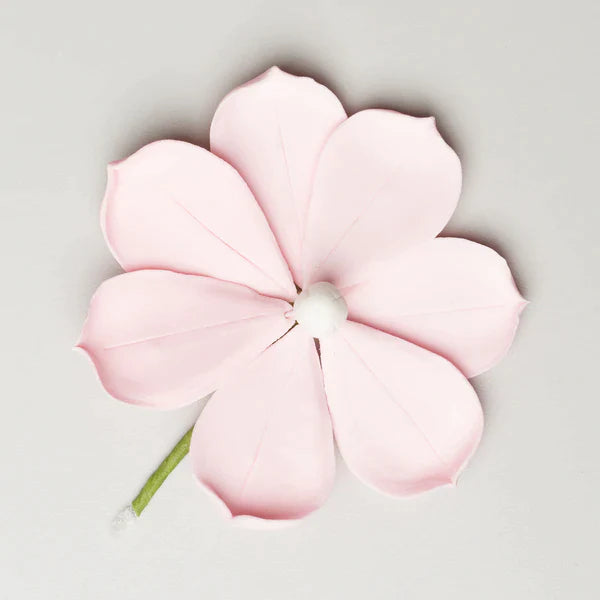 Pink Magnolia 3"
