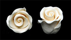Elegance Gumpaste Rose Bud - Ivory