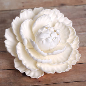 Giant Closed Peony